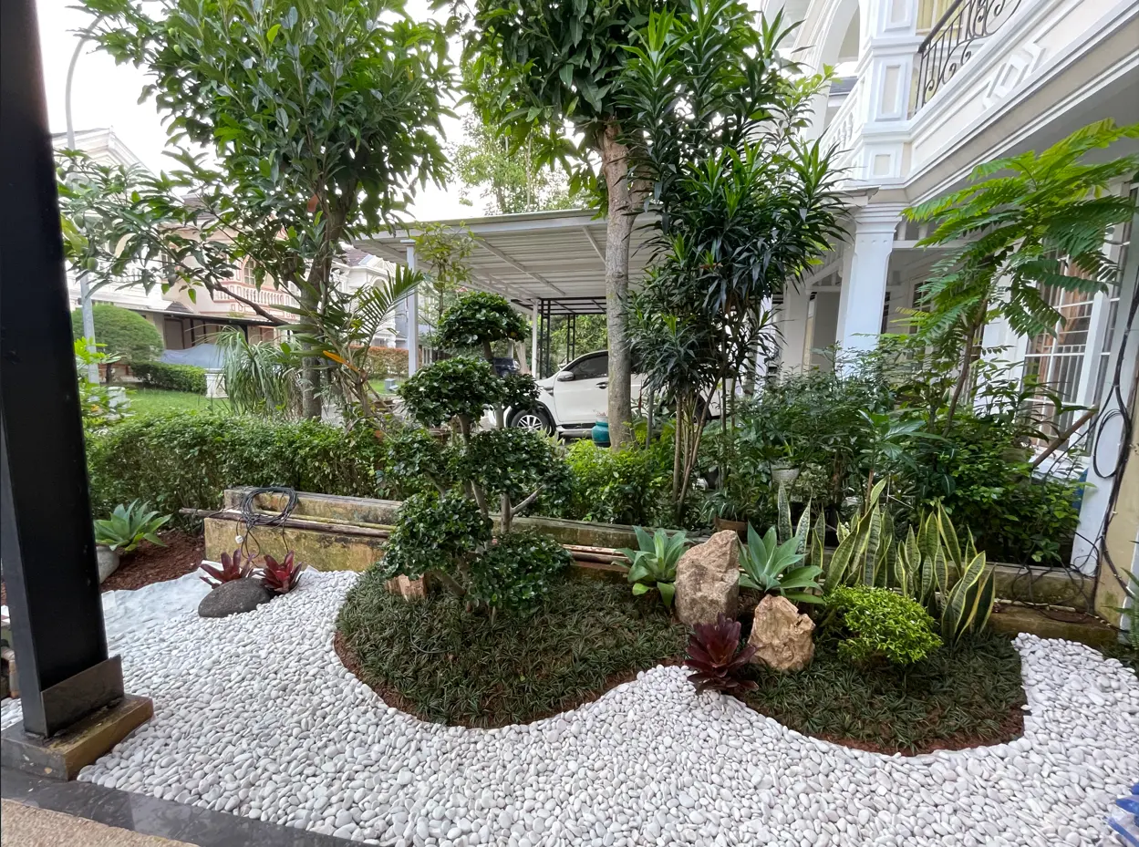 🌿 Tukang Taman Rancamaya Golf Ciawi | Resmi & Bergaransi