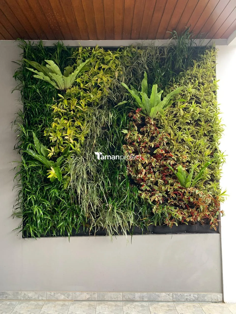 taman vertikal