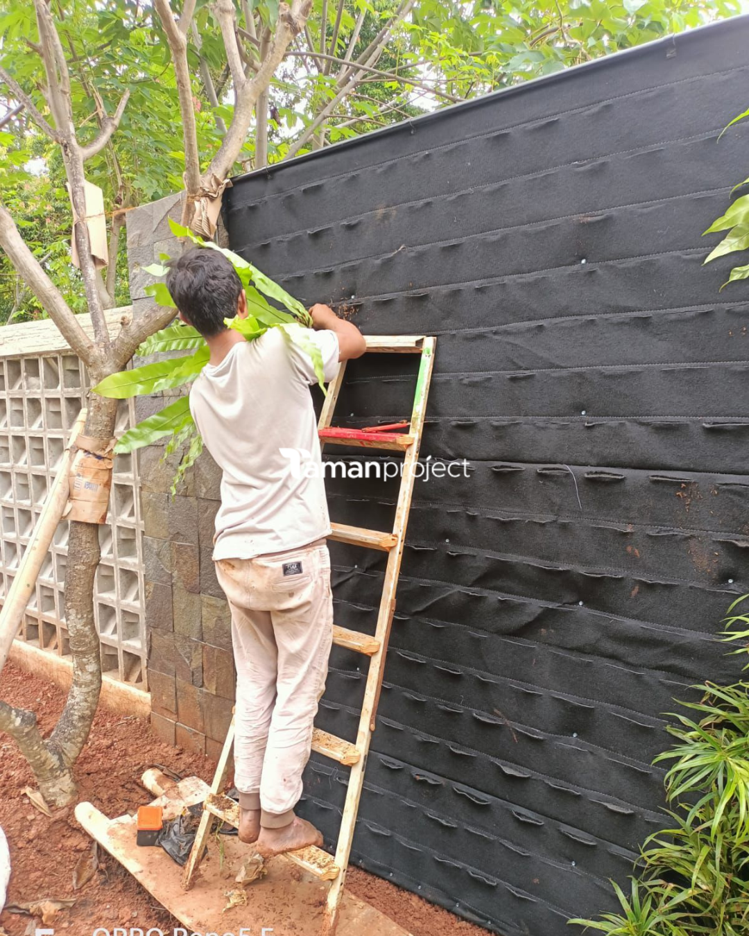 vertical garden bu lina bsd