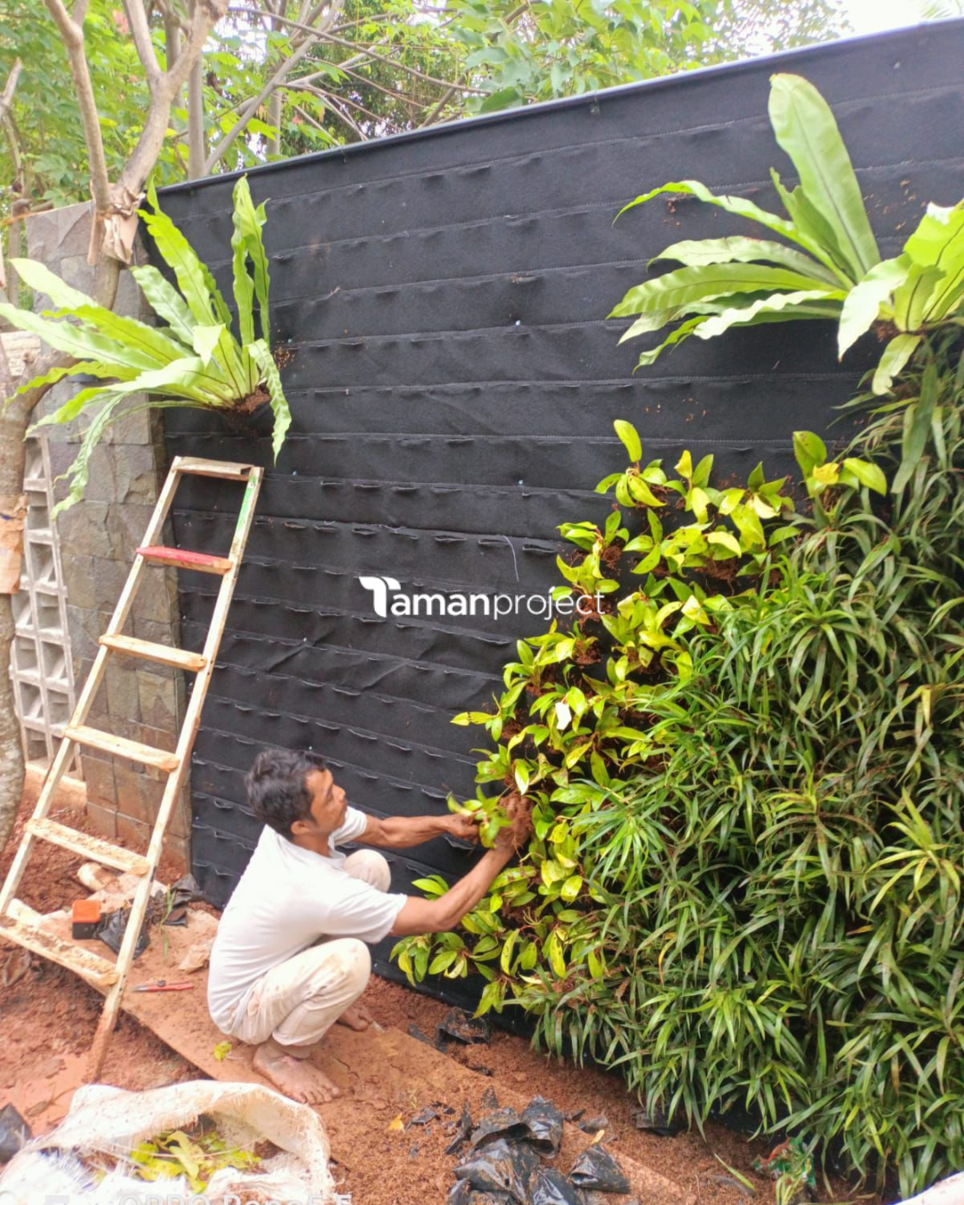 vertical garden bu lina bsd