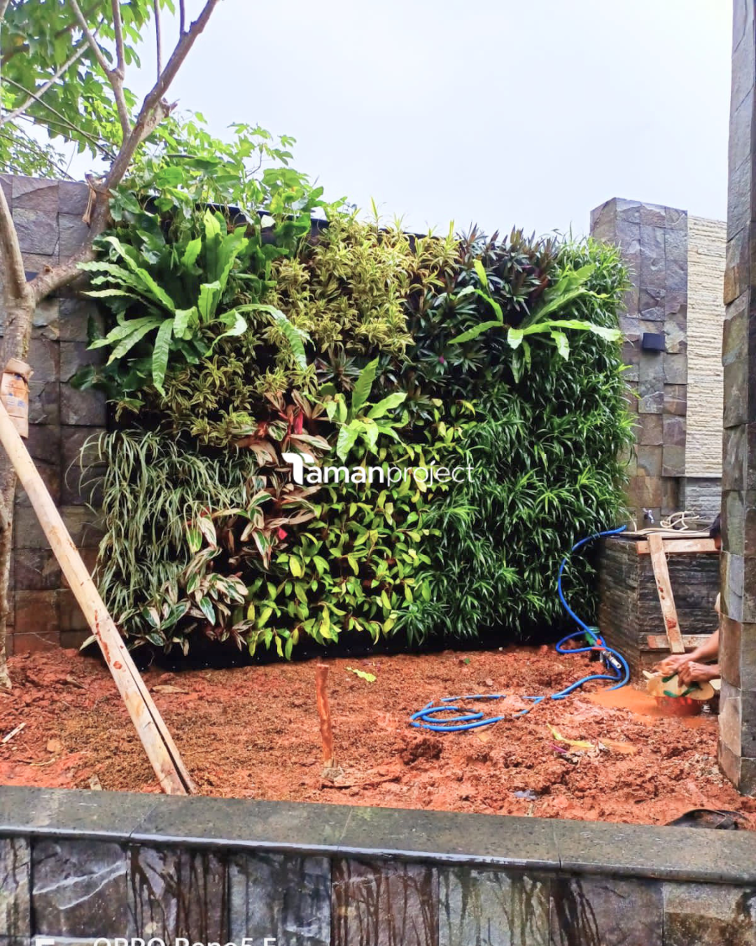 vertical garden bu lina bsd