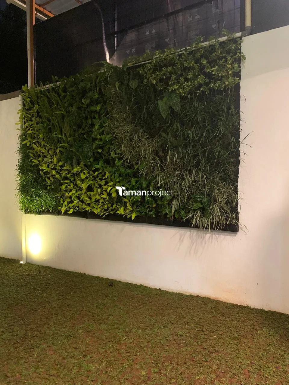 foto hasil pengerjaan vertical garden dan penanaman rumput gajah mini