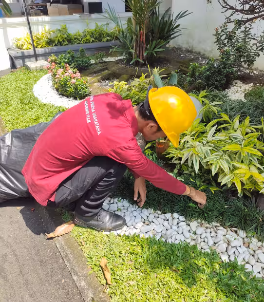 Perawatan  Maintenance Taman