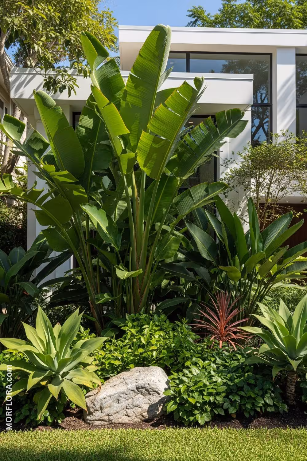 Tropical Garden, Taman Tropis