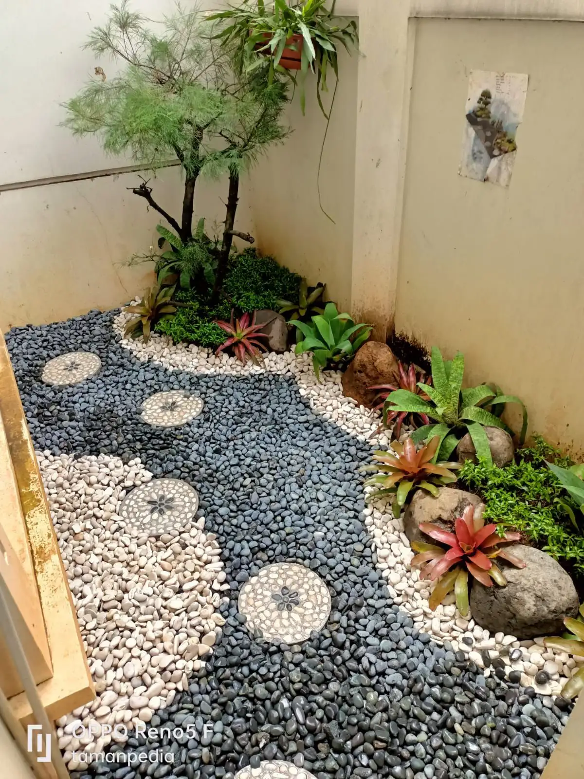 taman kering minimalis