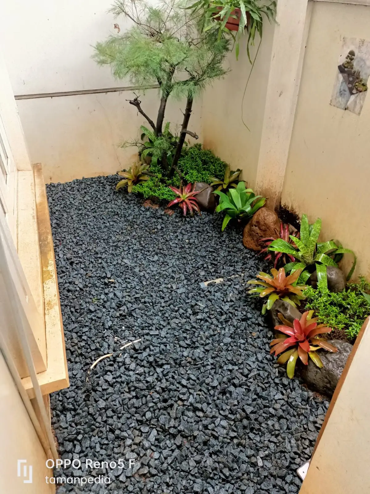 taman kering minimalis