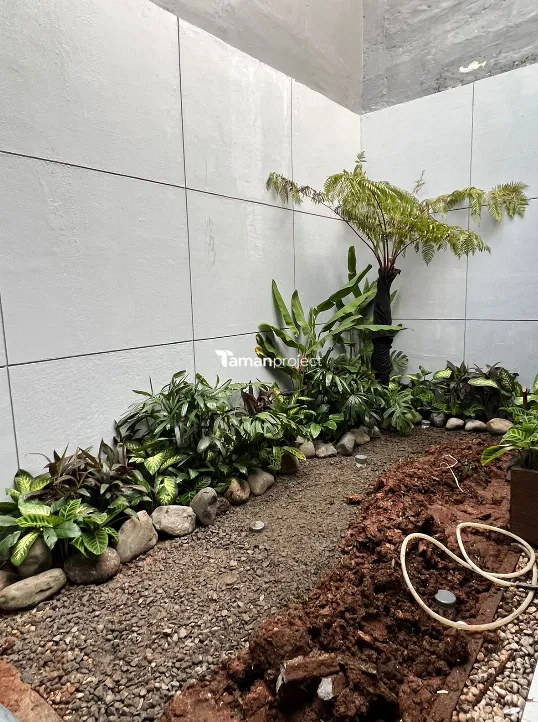 proses pembuatan tropical garden di bsd