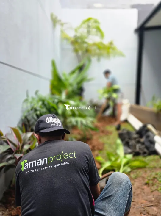 proses pembuatan tropical garden di bsd