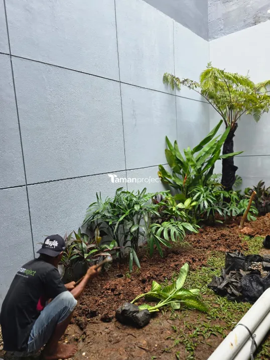 proses pembuatan tropical garden di bsd