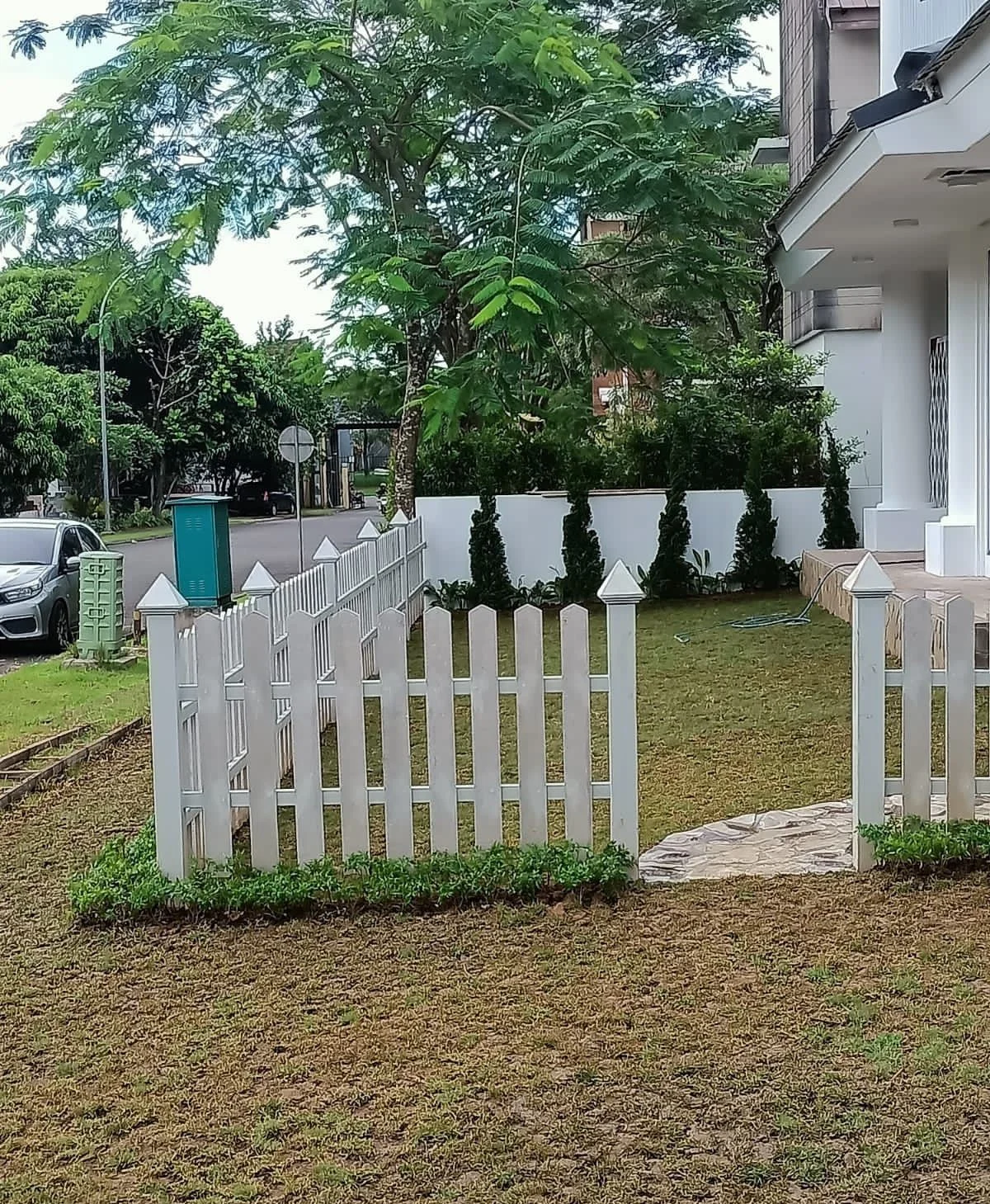 rumput jepang taman minimalis bsd tangerang