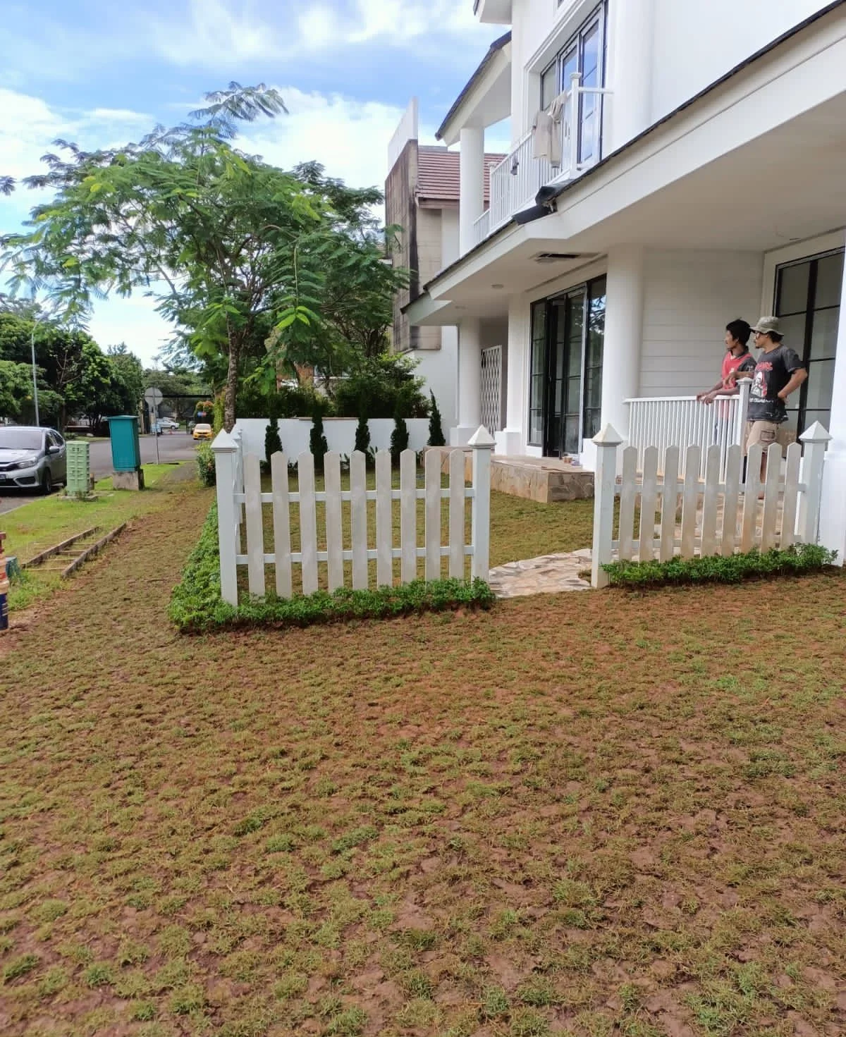 rumput jepang taman minimalis bsd tangerang