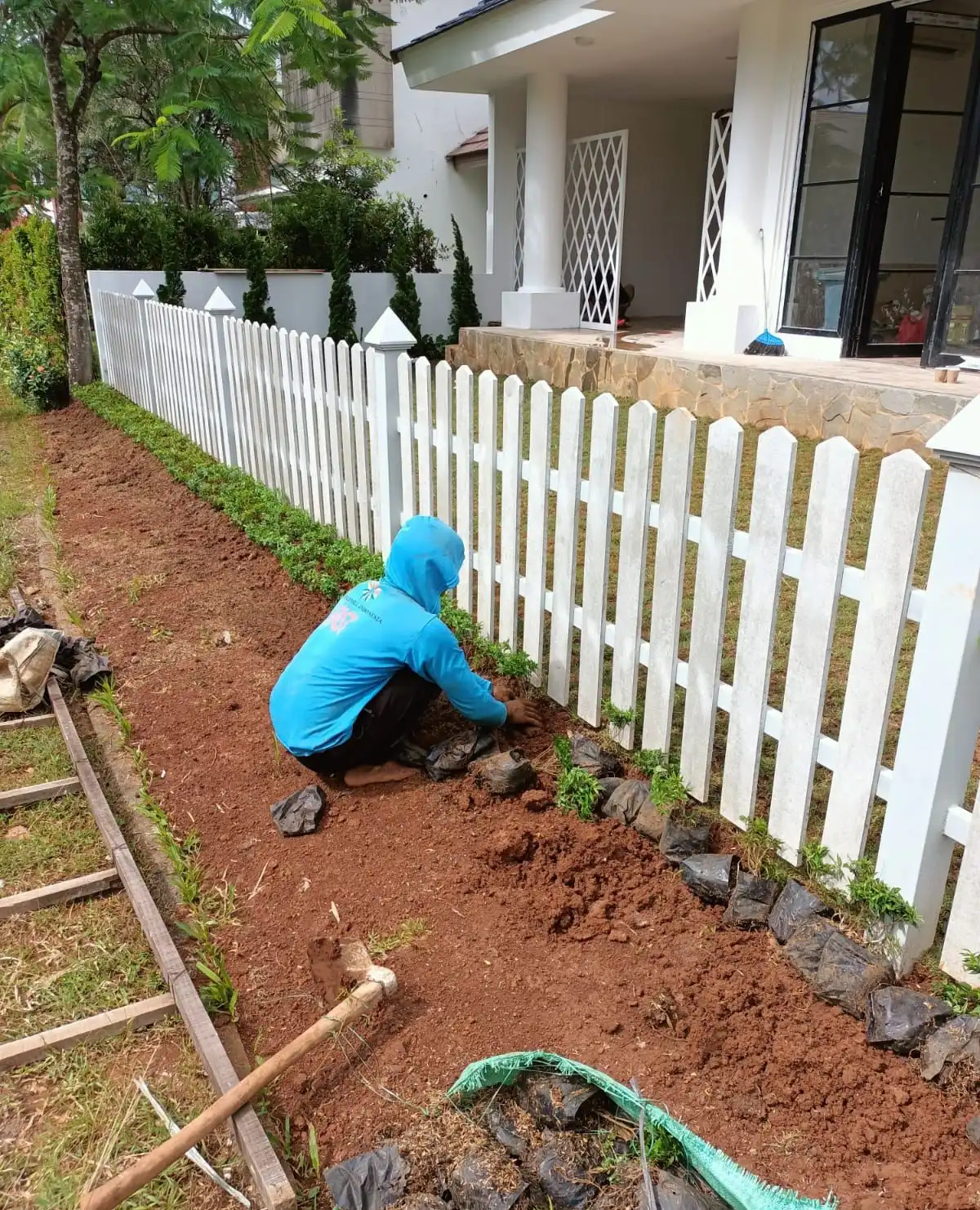 rumput jepang taman minimalis bsd tangerang