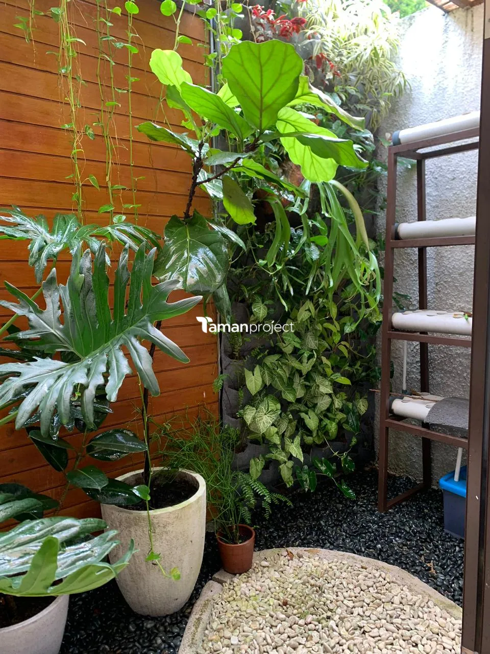 taman vertikal rancamaya