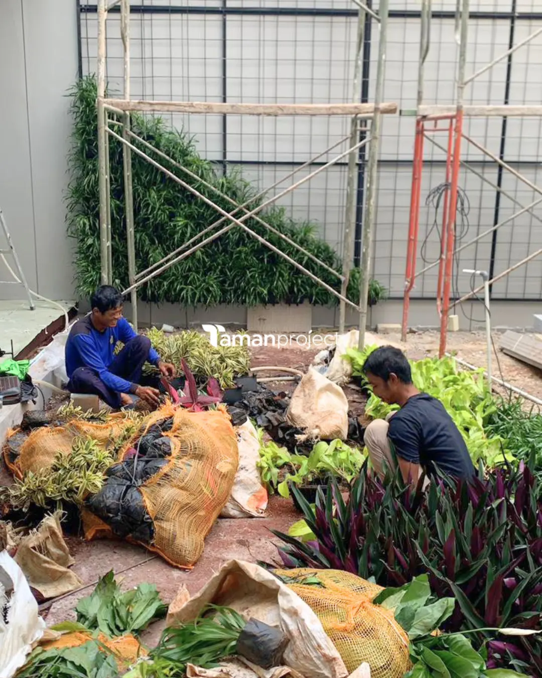 vertical garden bu fanny bsd