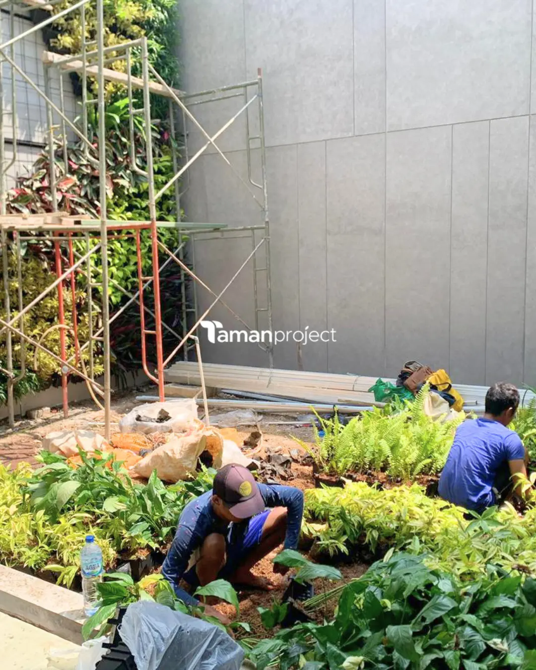 vertical garden pot bu fanny goldfinch bsd