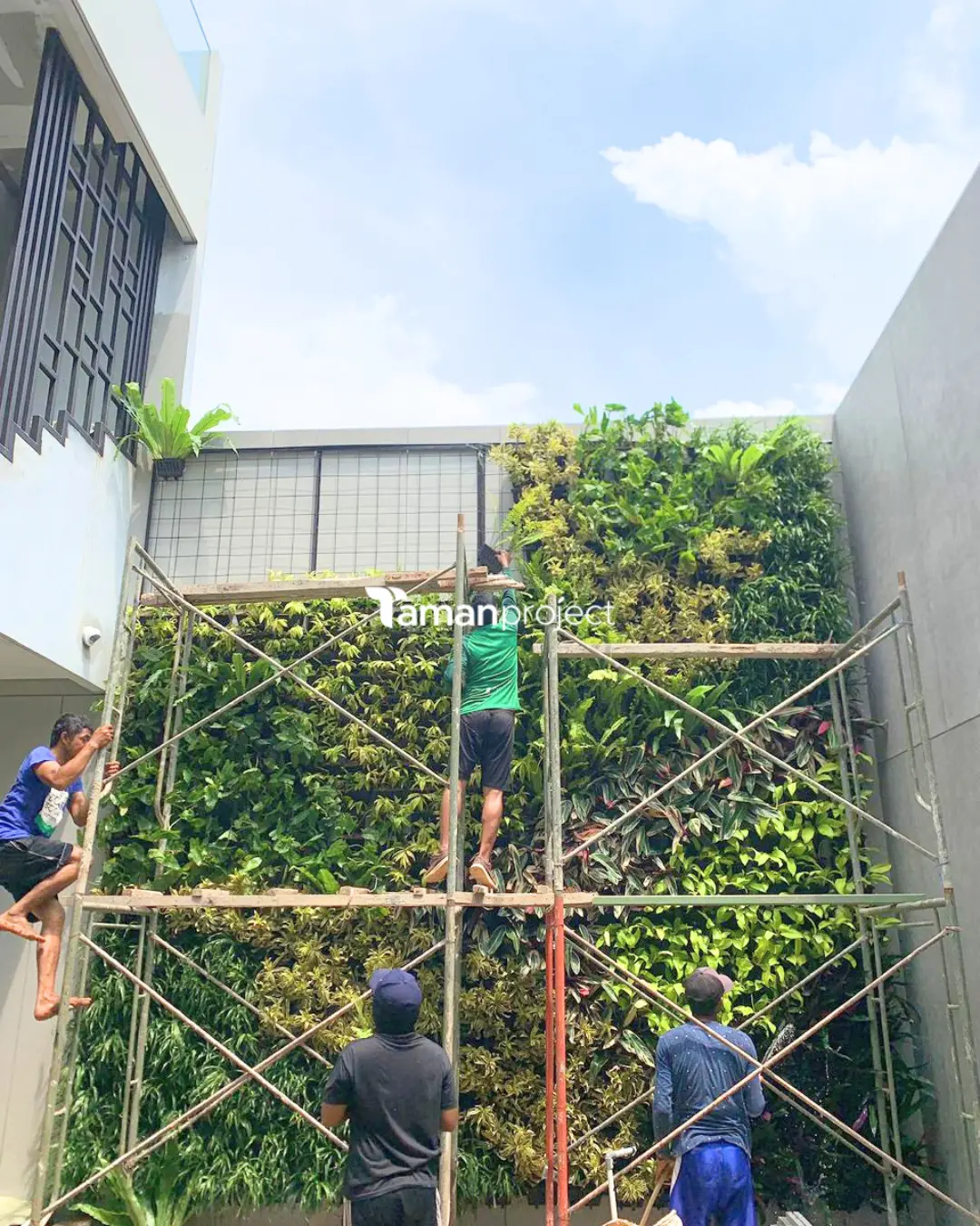 vertical garden pot bu fanny bsd