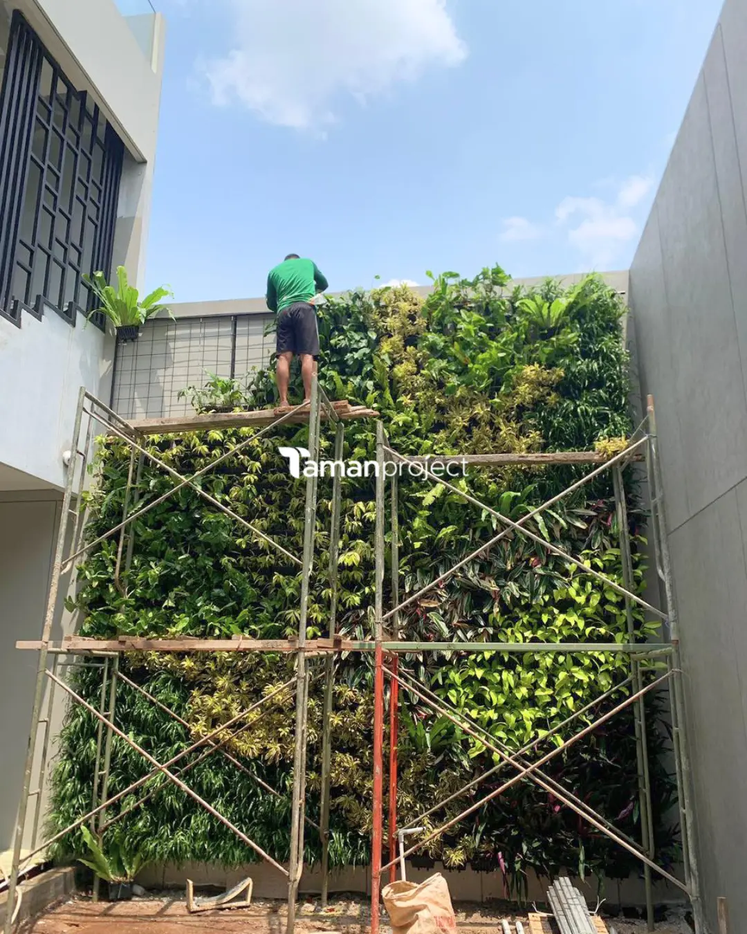 vertical garden di goldfinch bsd