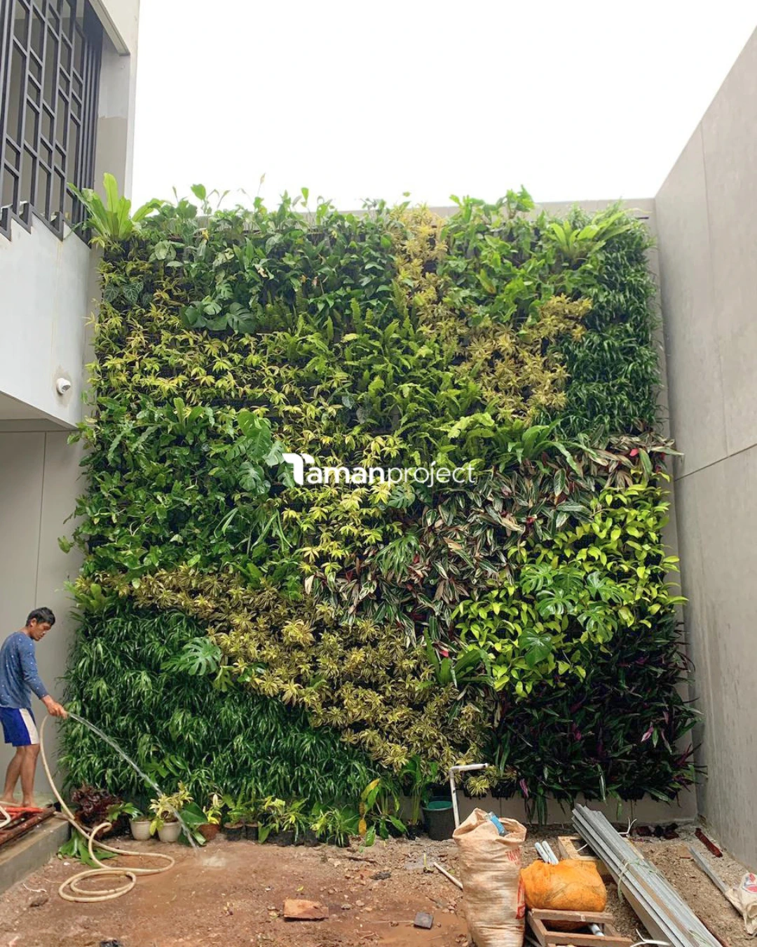 vertical garden pot di goldfinch BSD