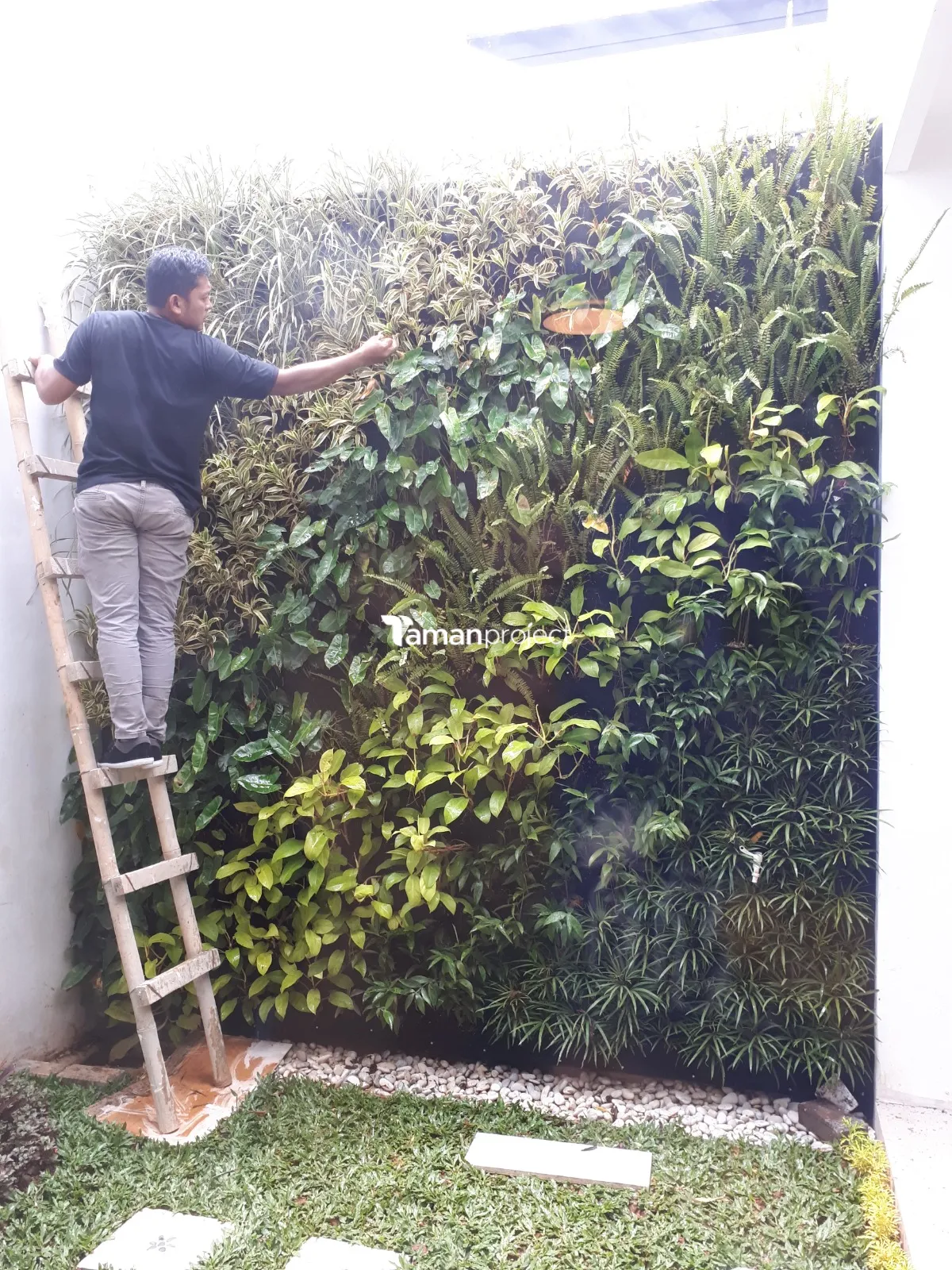 Proyek Vertical Garden Karpet Geotextile | Ibu Sarah - The Icon BSD
