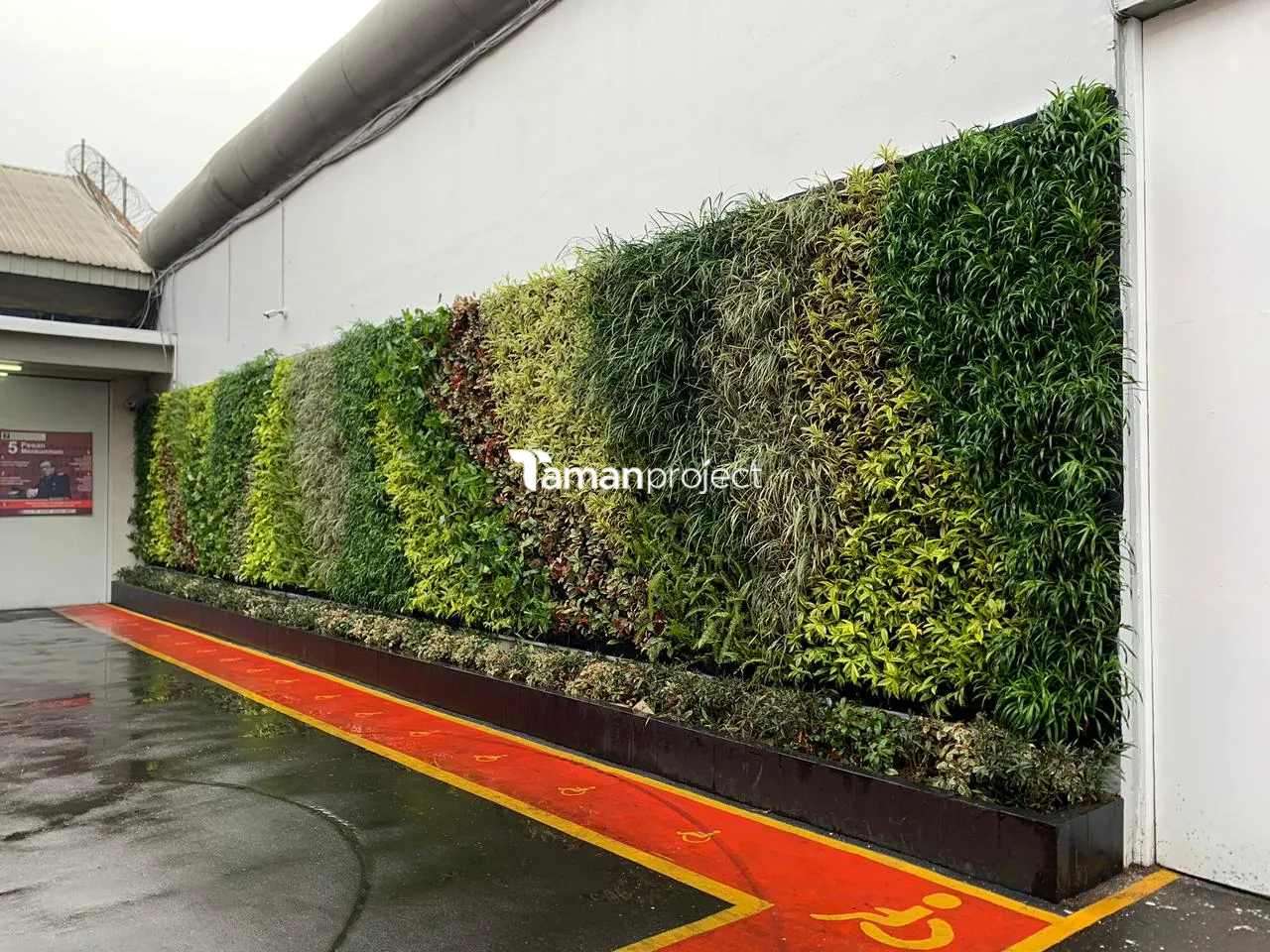 Proyek Vertical Garden Karpet di LAPAS NARKOTIKA CIPINANG