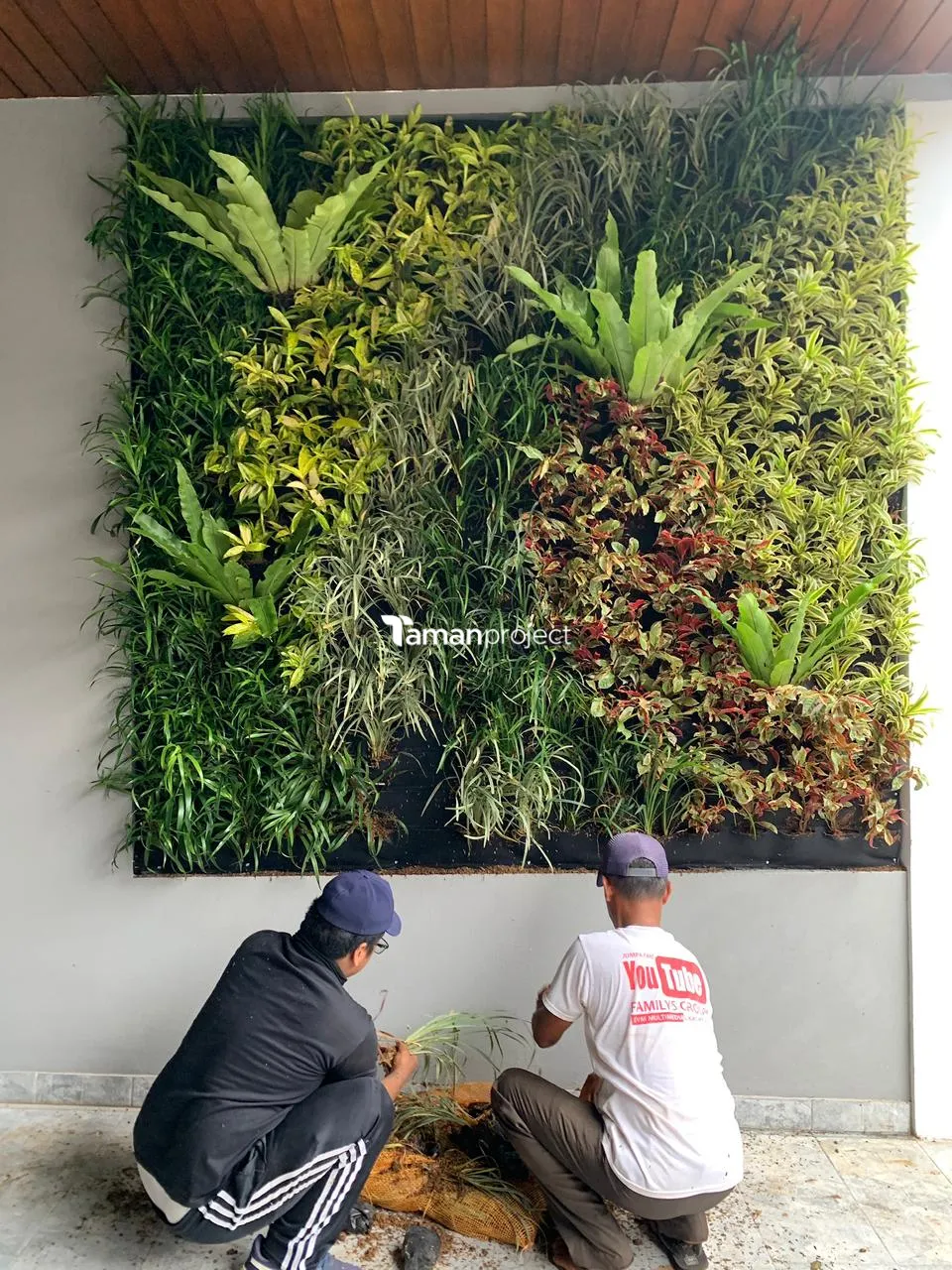 Proyek Vertical Garden Karpet Geotextile | Ibu Sito Resmi - Kreo Tangerang