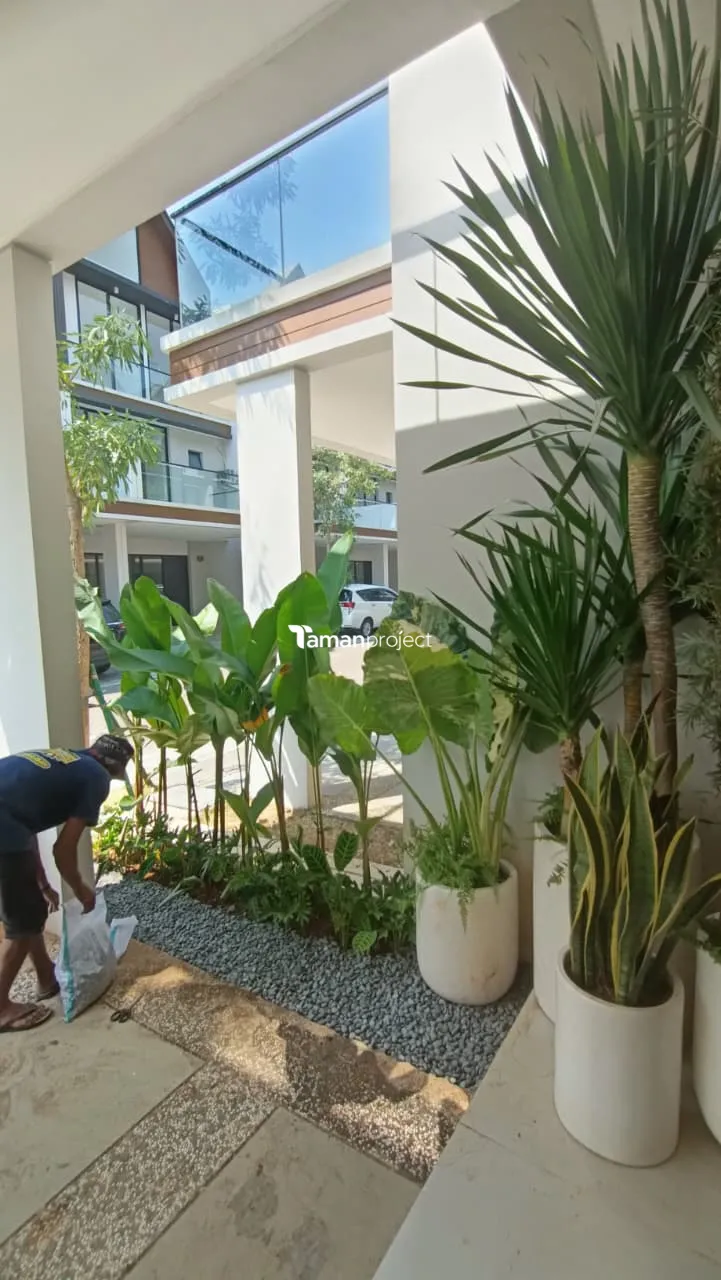 Proyek Taman Tropis Minimalis di South Osaka 7 PIK 2 Pak Hafidz