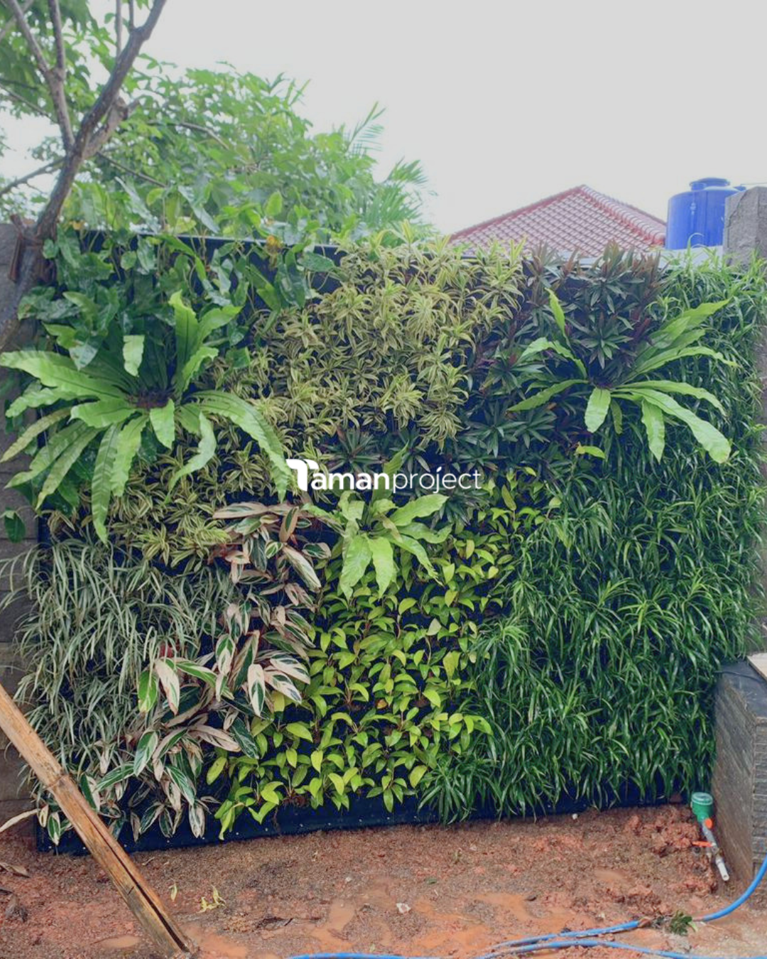 Before-After Proyek Vertical Garden Karpet di Giri Loka 2 BSD