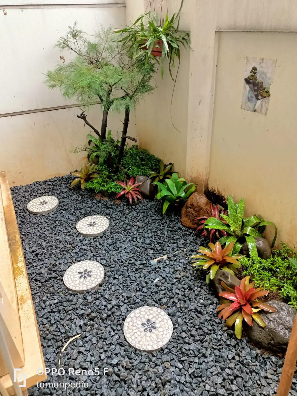 Review Proyek Taman kering Minimalis di The Icon BSD