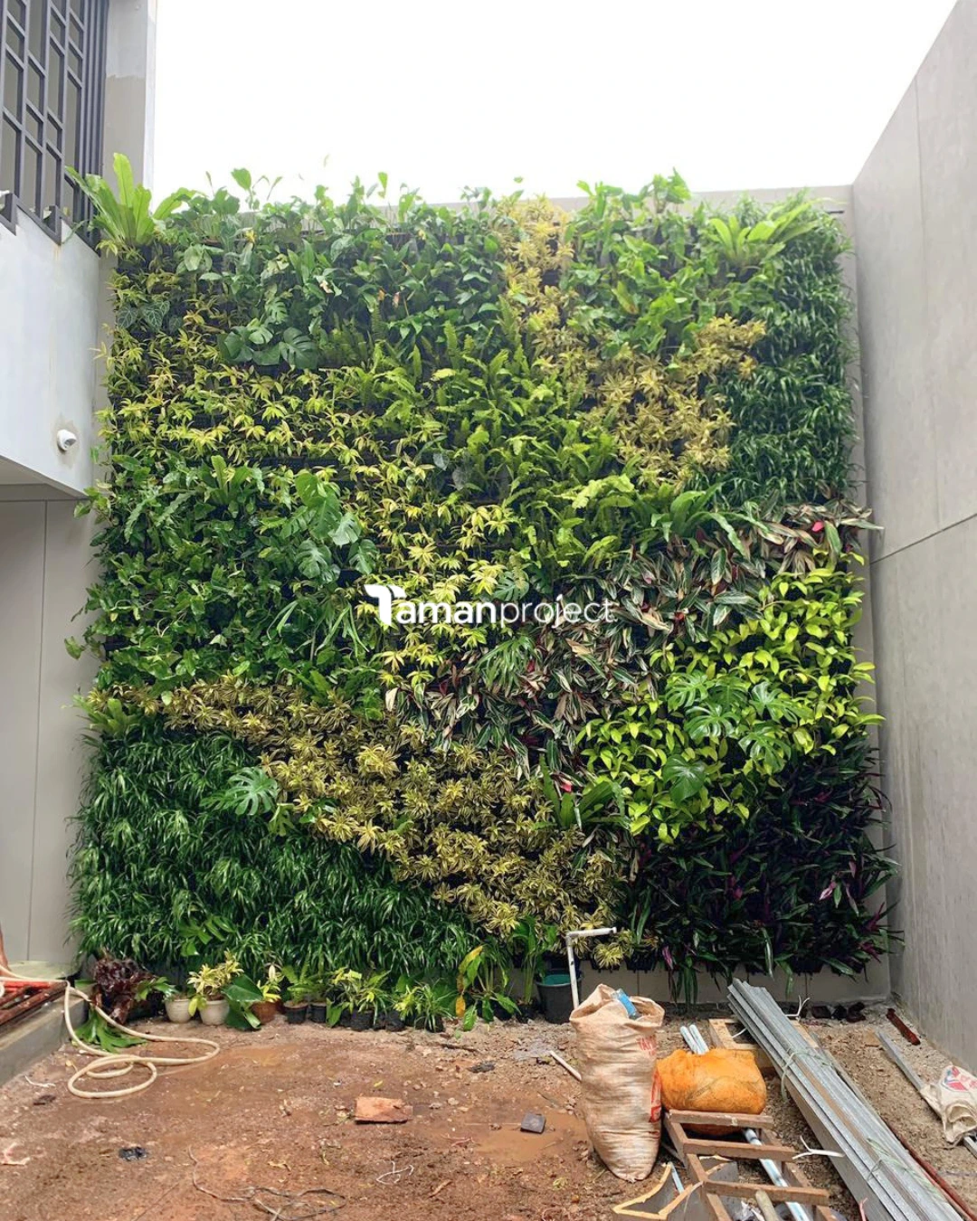 Before-After Proyek Vertical Garden di Goldfinch BSD - Ibu Fanny
