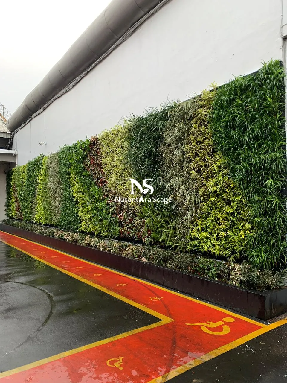 Proyek Vertical Garden Karpet di LAPAS NARKOTIKA CIPINANG