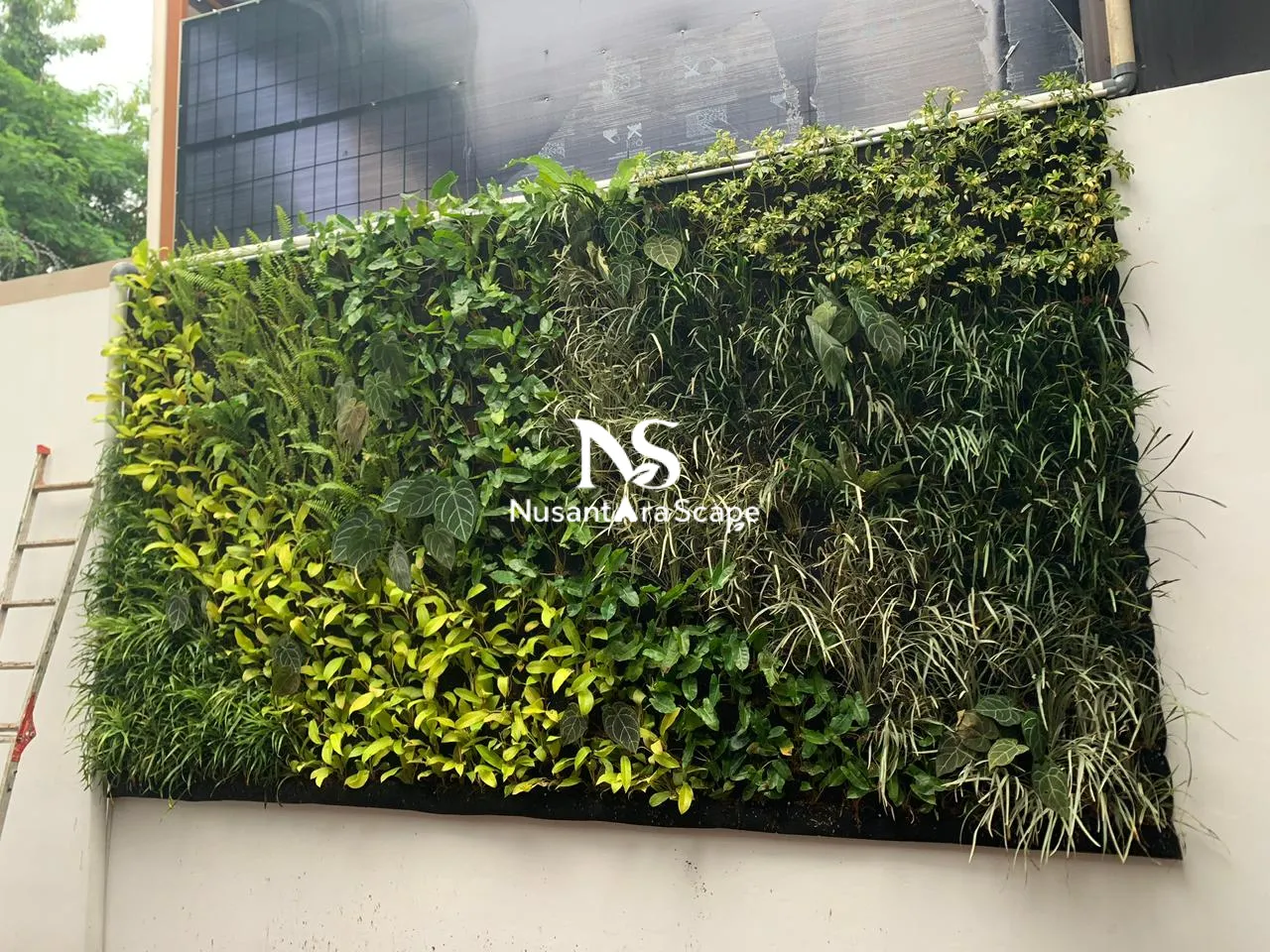 Proyek Vertical Garden Karpet Geotextile | Ibu Tisa - Green Andara
