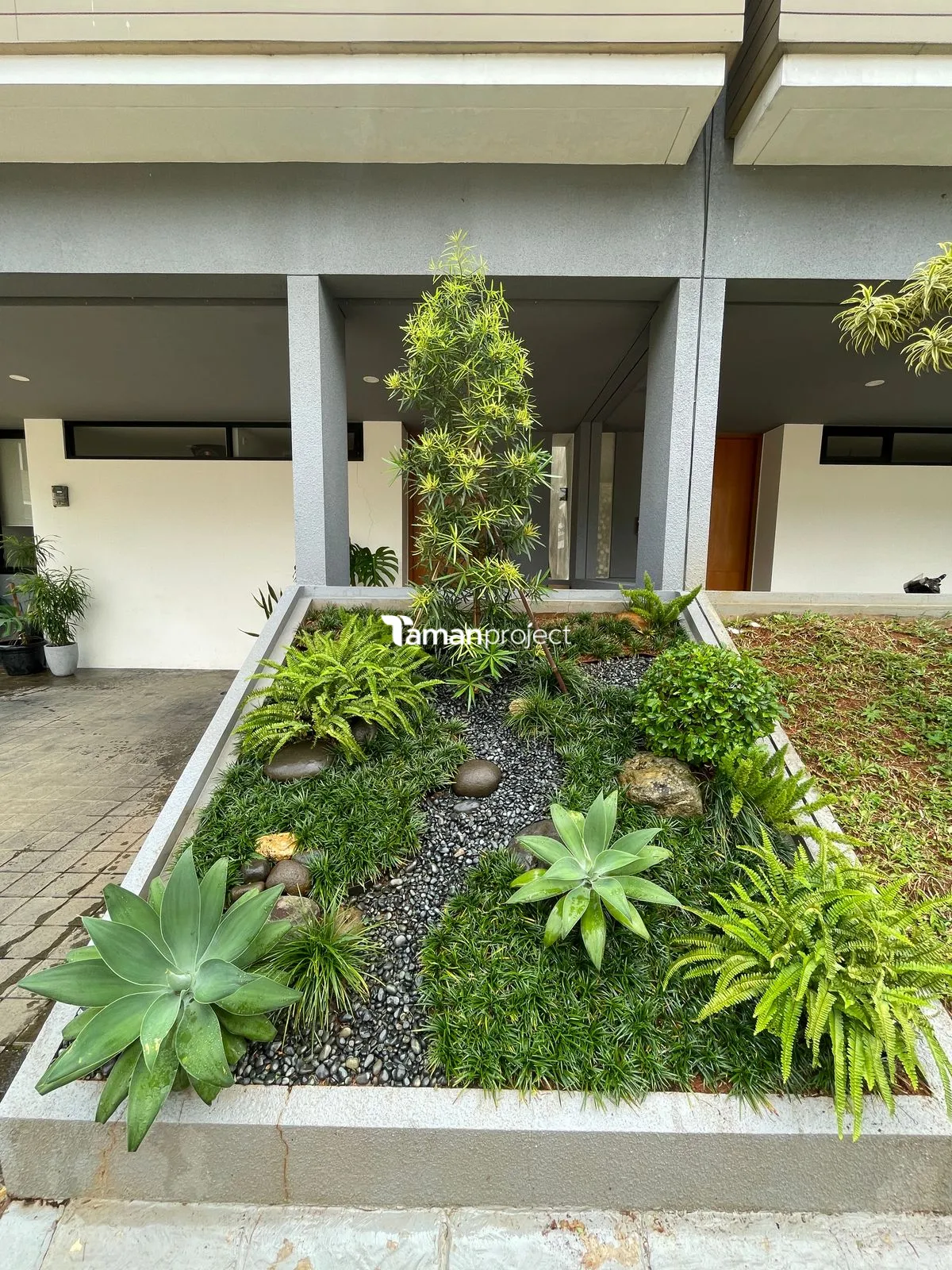 Proyek Taman Kering Tropical di Providence House Ibu Kania