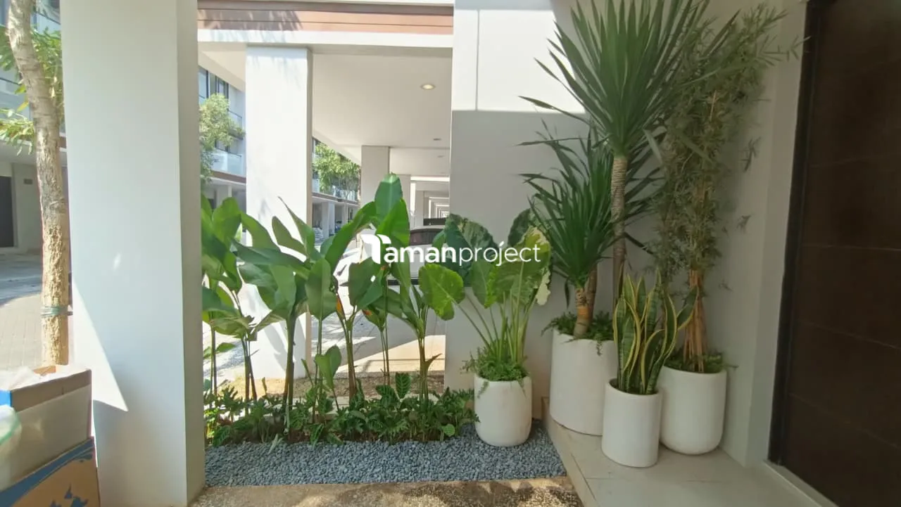 Proyek Taman Tropis Minimalis di South Osaka 7 PIK 2 Pak Hafidz