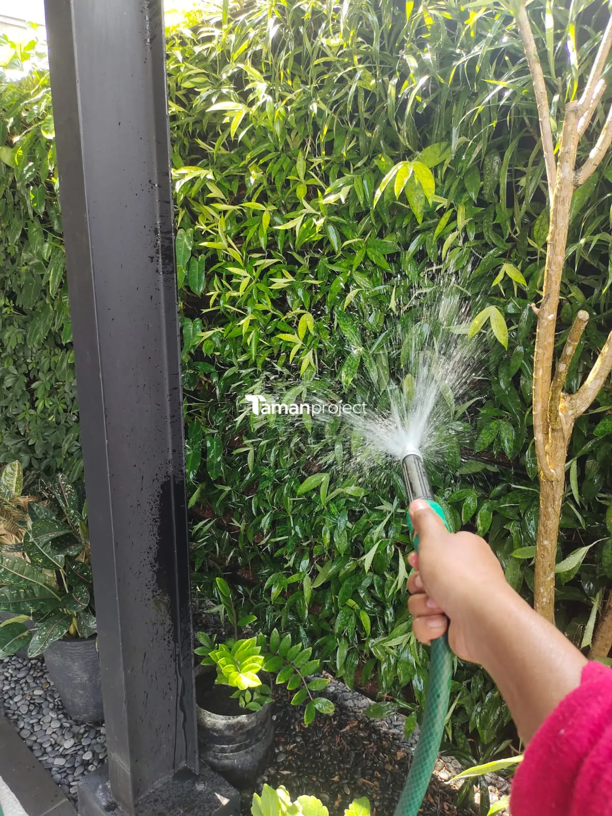 Proyek Perawatan Taman di Victoria River BSD Ibu Angela