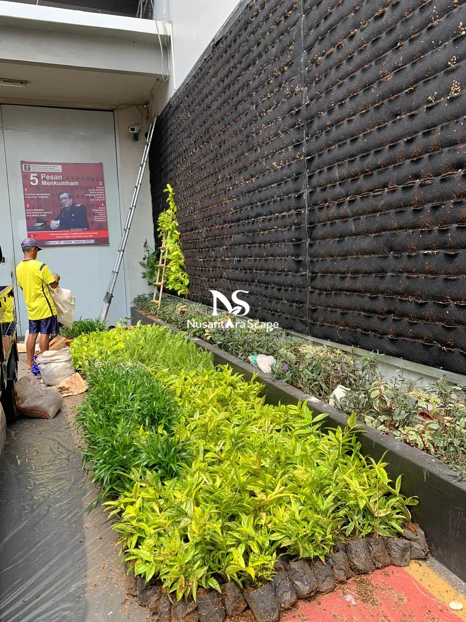 Proyek Vertical Garden Karpet di LAPAS NARKOTIKA CIPINANG - Foto Gallery 4