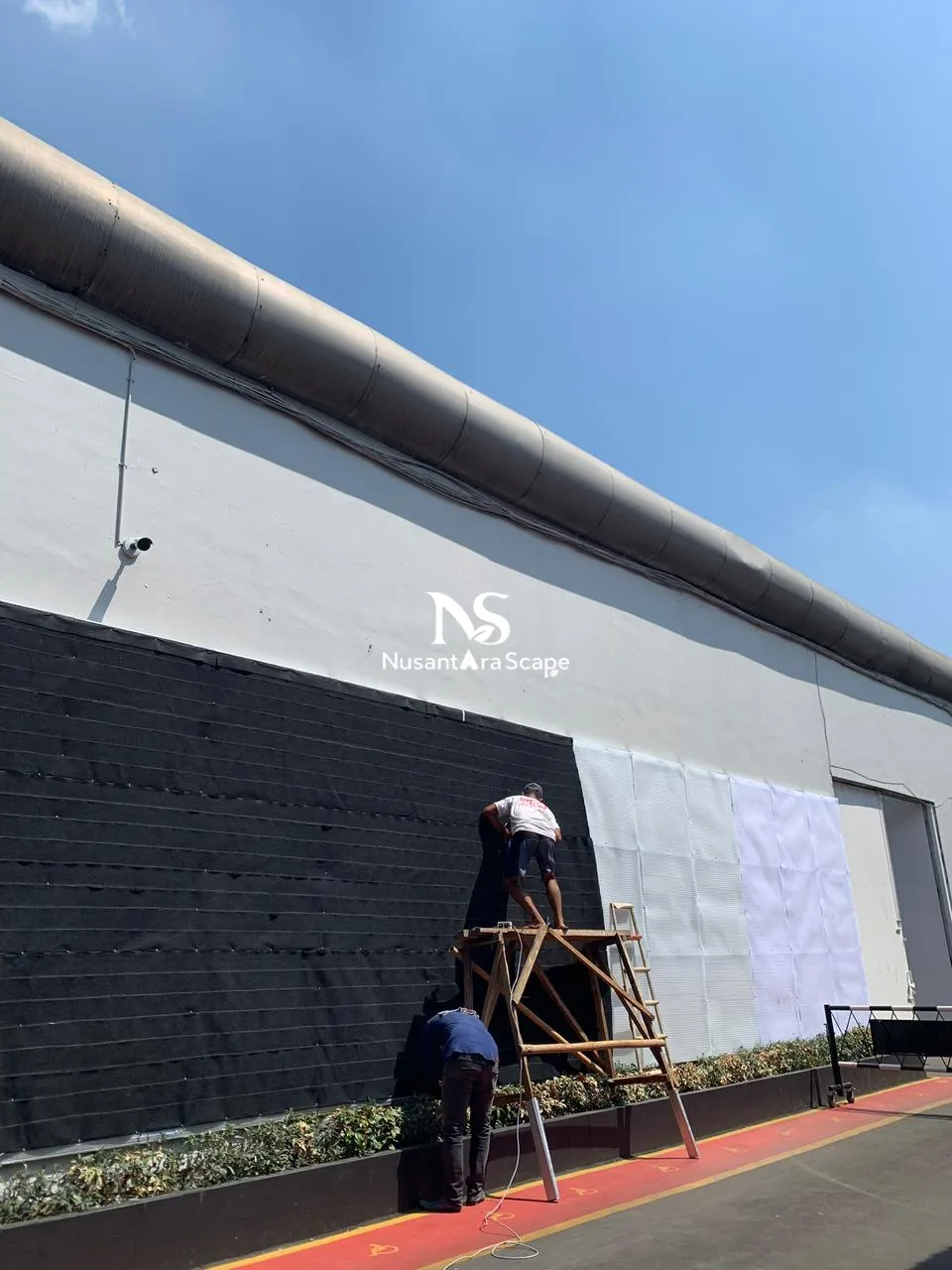 Proyek Vertical Garden Karpet di LAPAS NARKOTIKA CIPINANG - Foto Gallery 6