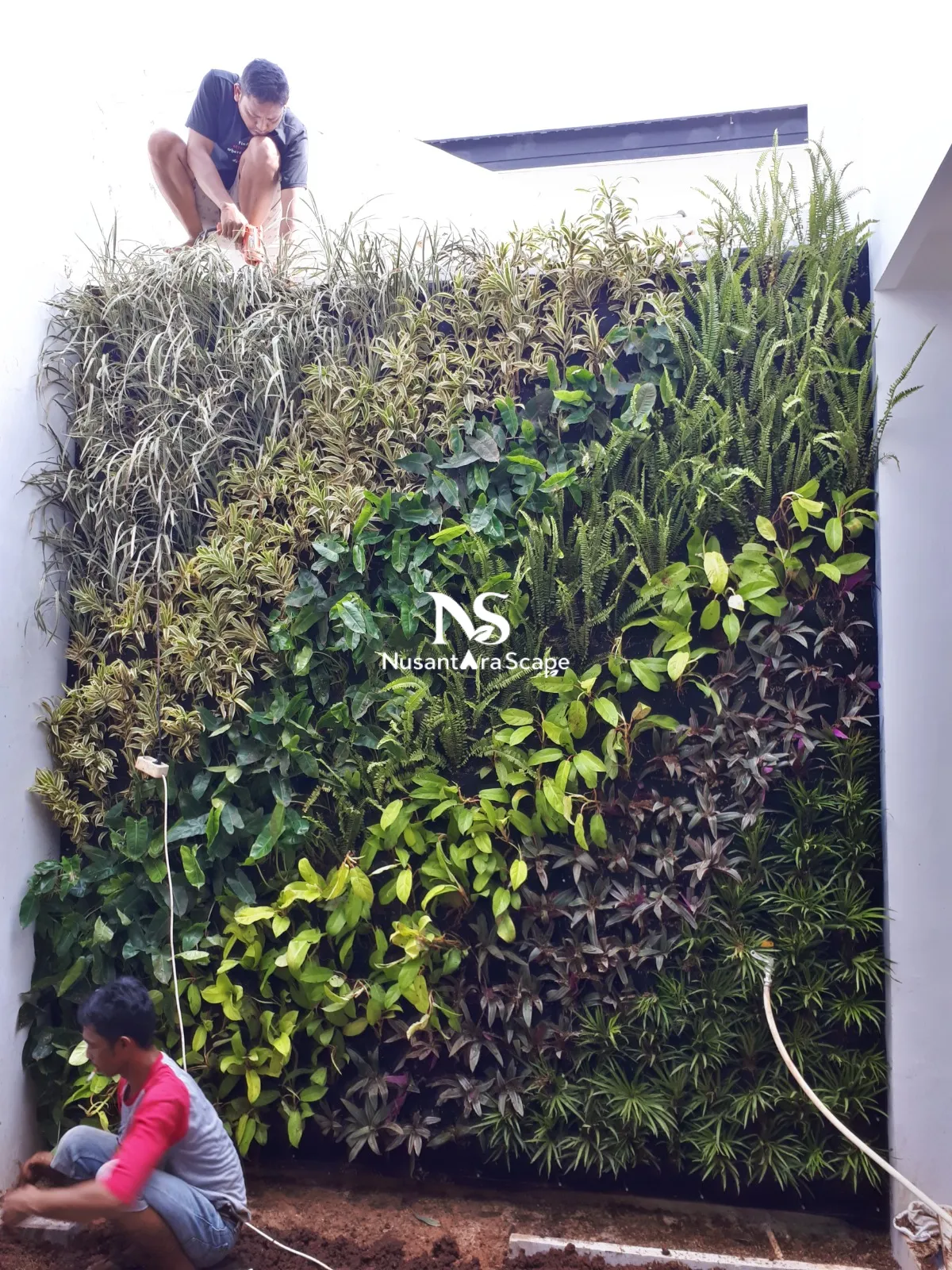 Proyek Vertical Garden Karpet Geotextile | Ibu Sarah - The Icon BSD - Foto Gallery 3