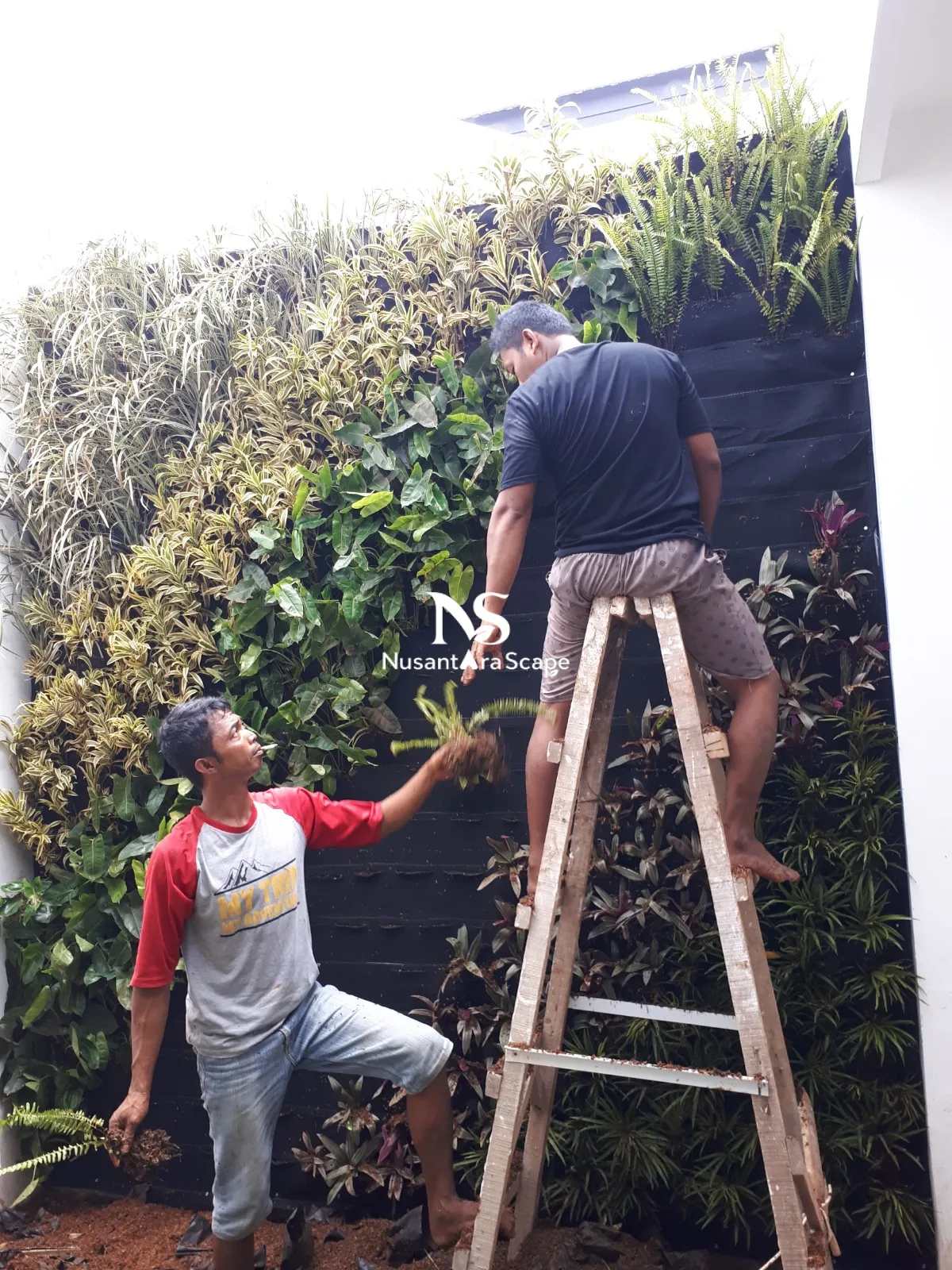 Proyek Vertical Garden Karpet Geotextile | Ibu Sarah - The Icon BSD - Foto Gallery 5