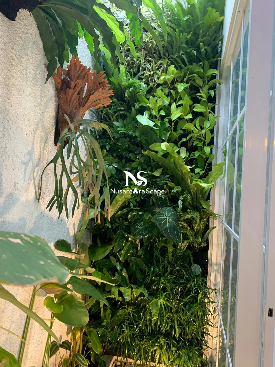 Proyek Vertical Garden by Tamanproject - Sukmajaya depok - Foto Gallery 2
