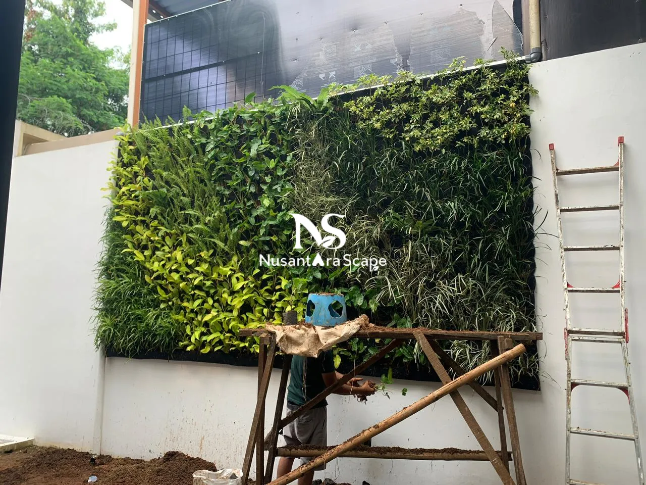Proyek Vertical Garden Karpet Geotextile | Ibu Tisa - Green Andara - Foto Gallery 1