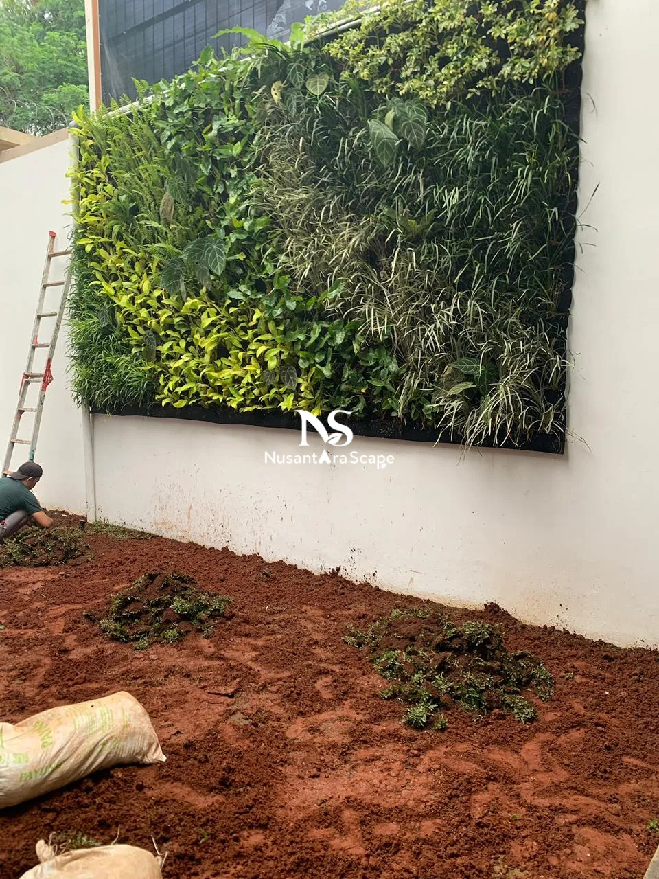 Proyek Vertical Garden Karpet Geotextile | Ibu Tisa - Green Andara - Foto Gallery 3