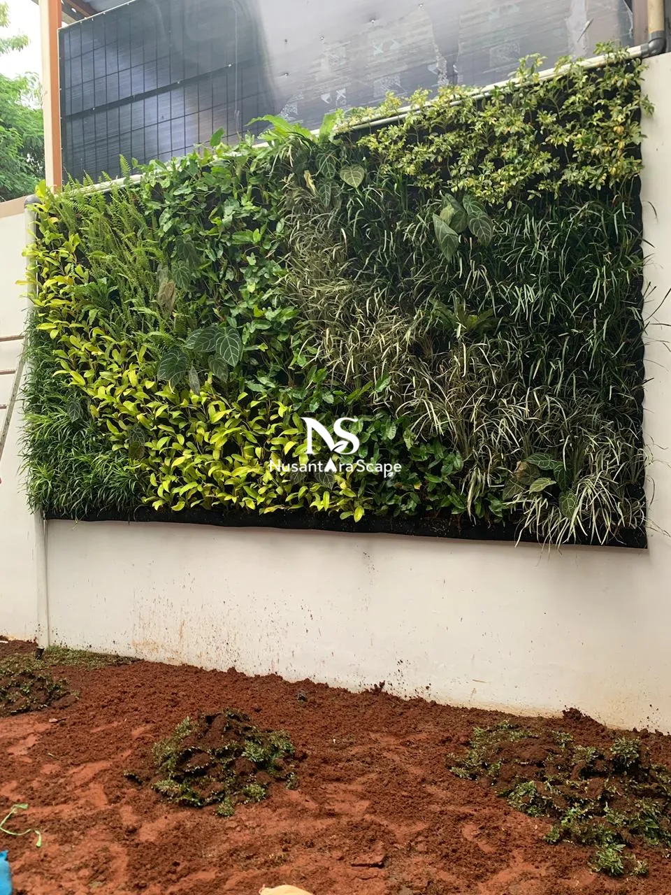 Proyek Vertical Garden Karpet Geotextile | Ibu Tisa - Green Andara - Foto Gallery 4