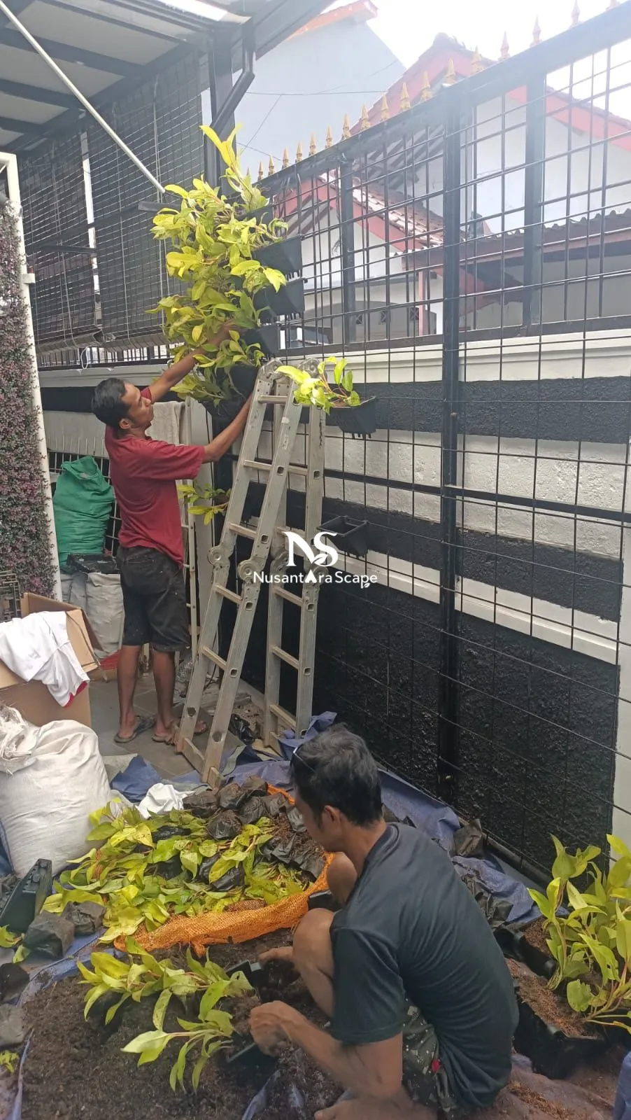 Proyek Vertical Garden Pot, Kolam Relief, Taman Minimalis - Dr Ika, Pasar Rebo - Foto Gallery 5