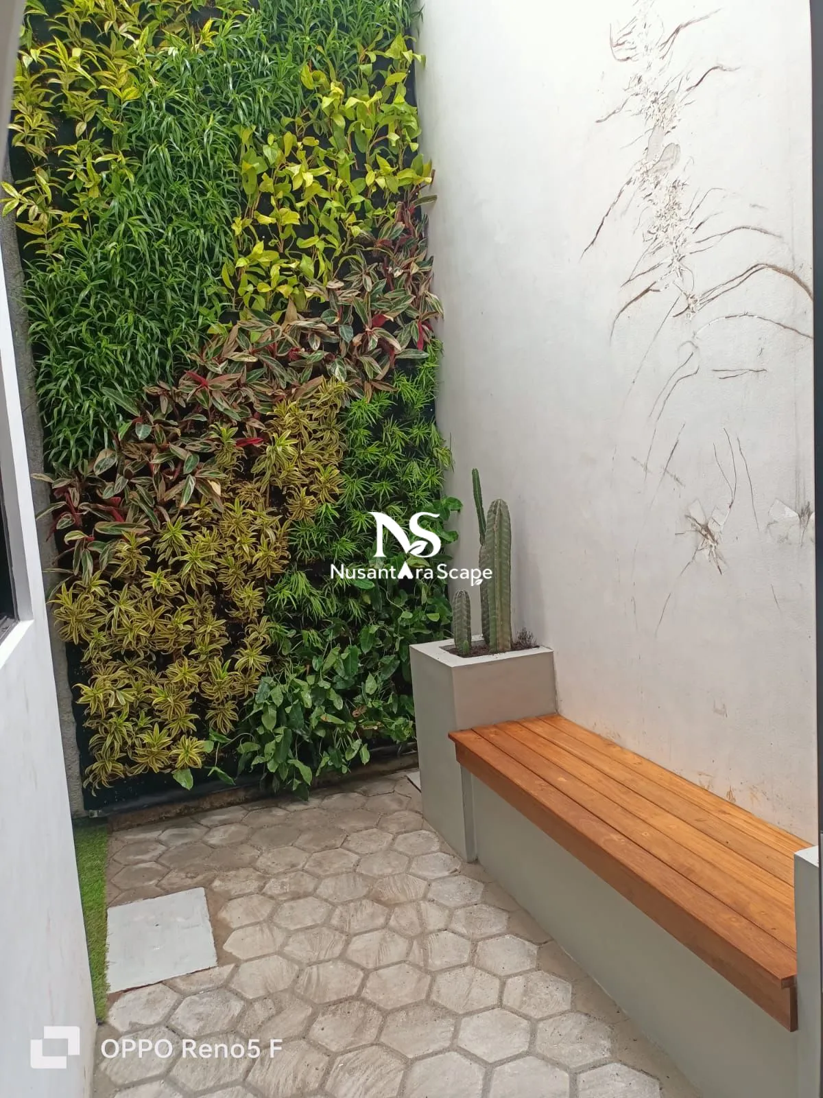 Proyek Vertical Garden Karpet Ibu Anatasya - Balboa Bintaro - Foto Gallery 1