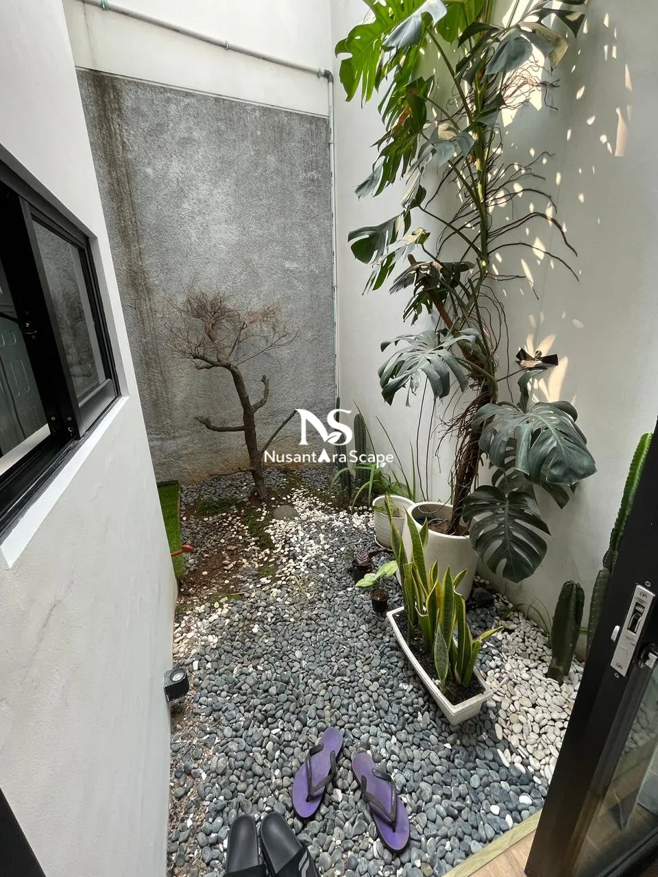 Proyek Vertical Garden Karpet Ibu Anatasya - Balboa Bintaro - Foto Gallery 3