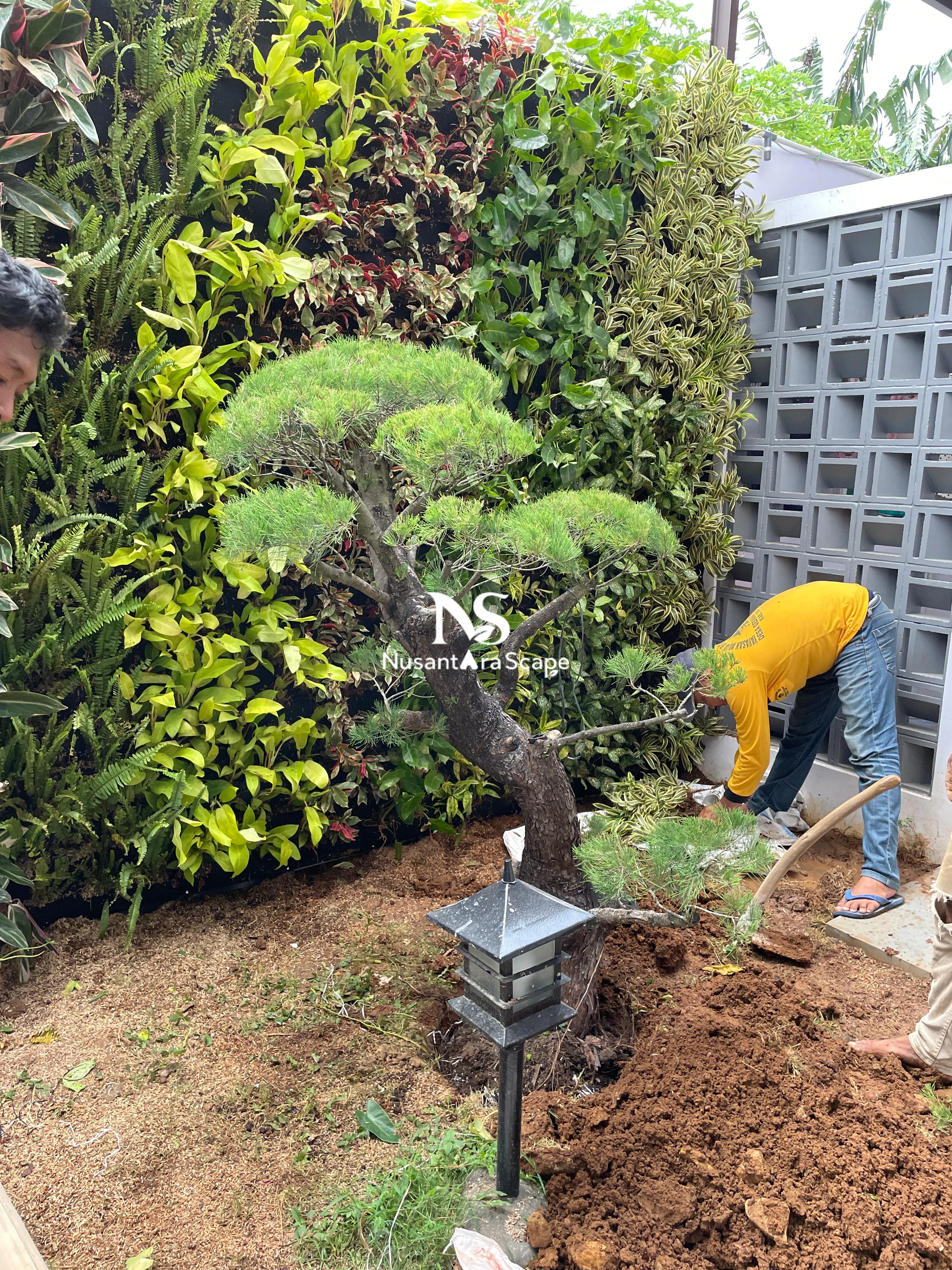 Proyek Taman Vertikal & Taman Kering (Zen Garden) - Summarecon Bogor - Foto Gallery 2