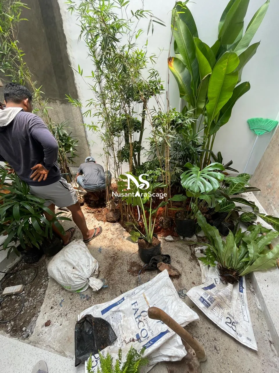 Proyek Tropical Dry Garden di Bintaro Tangerang - Foto Gallery 12