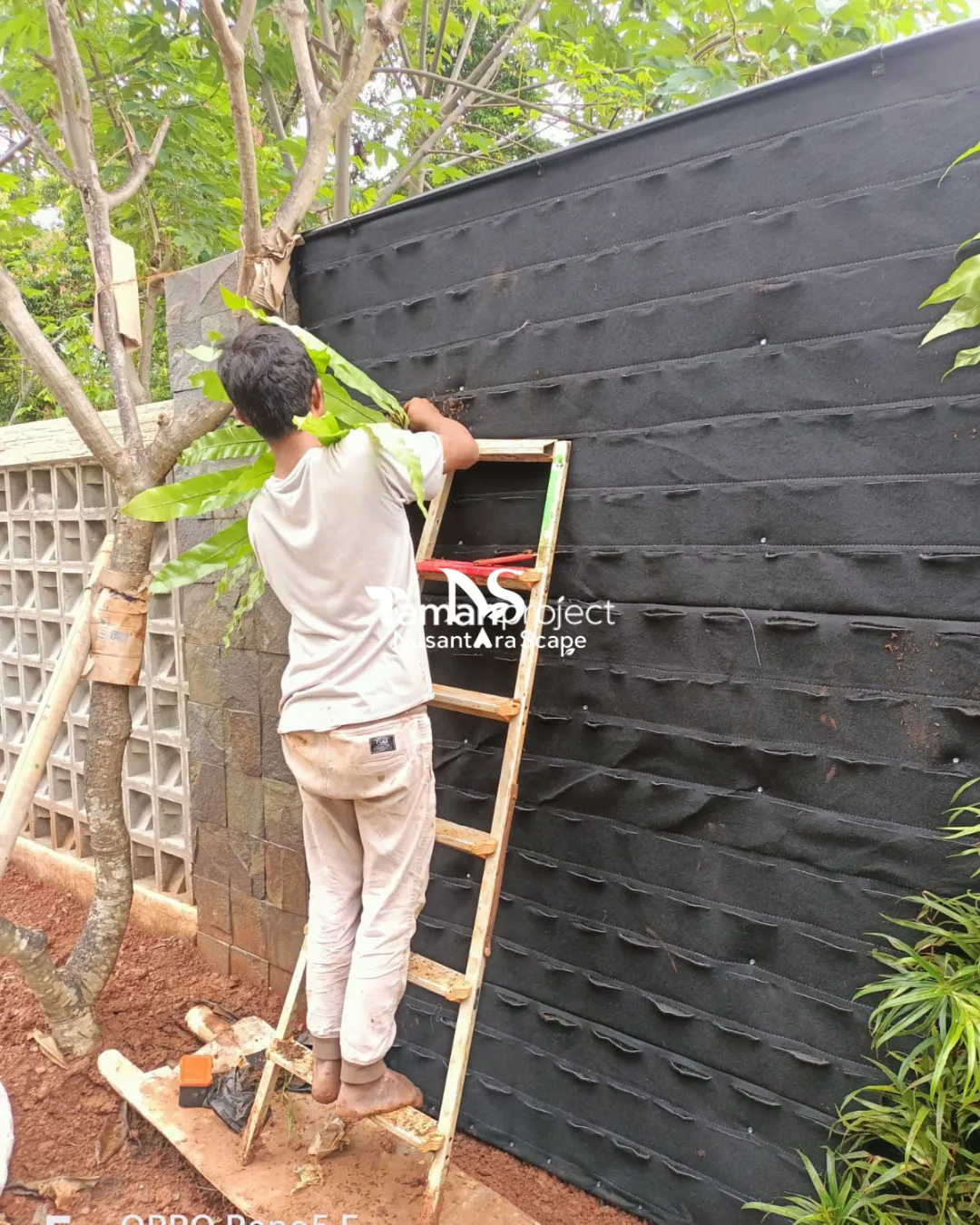 Proyek Vertical Garden Karpet  & Taman Minimalis di BSD - Foto Gallery 1