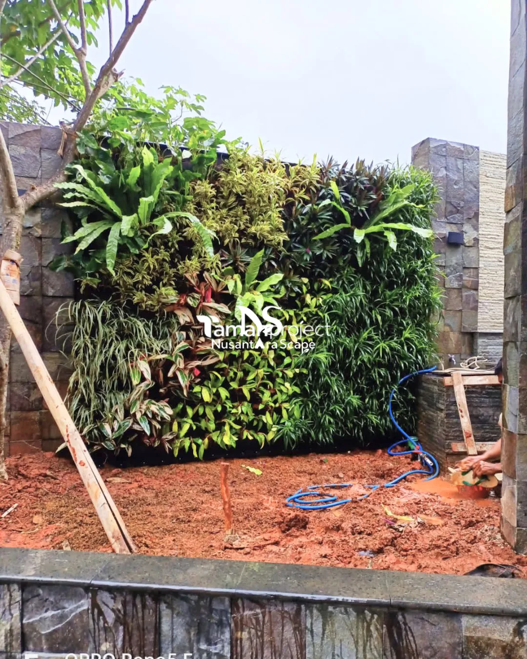 Proyek Vertical Garden Karpet  & Taman Minimalis di BSD - Foto Gallery 5