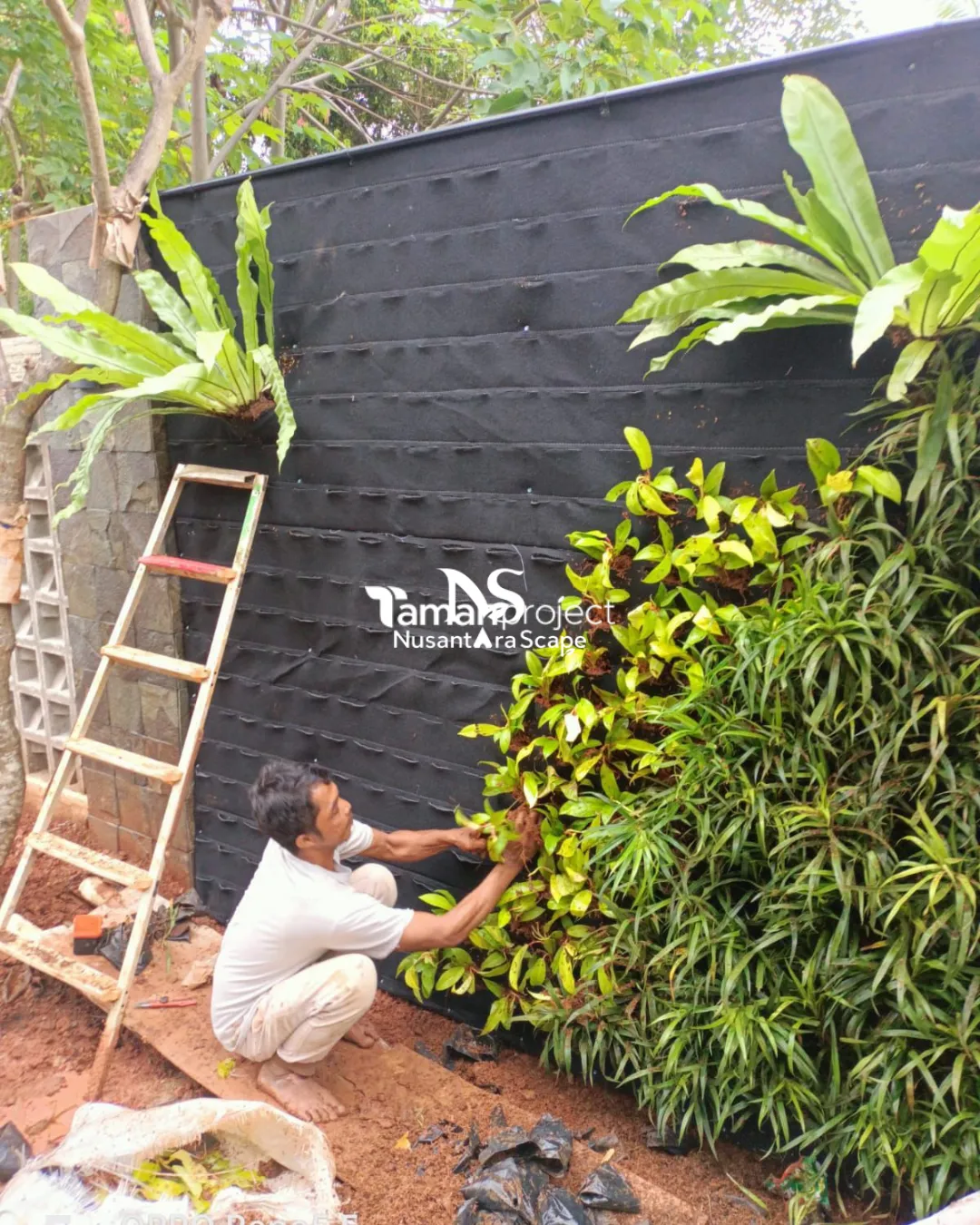 Proyek Vertical Garden Karpet  & Taman Minimalis di BSD - Foto Gallery 2